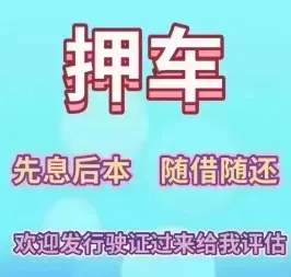 深圳龙岗押车贷款联系方式